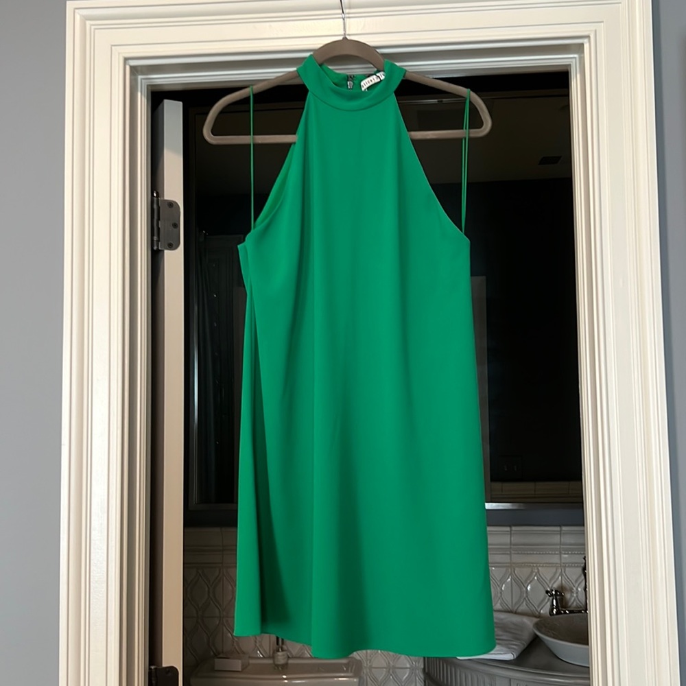 Alice & Olivia Dress